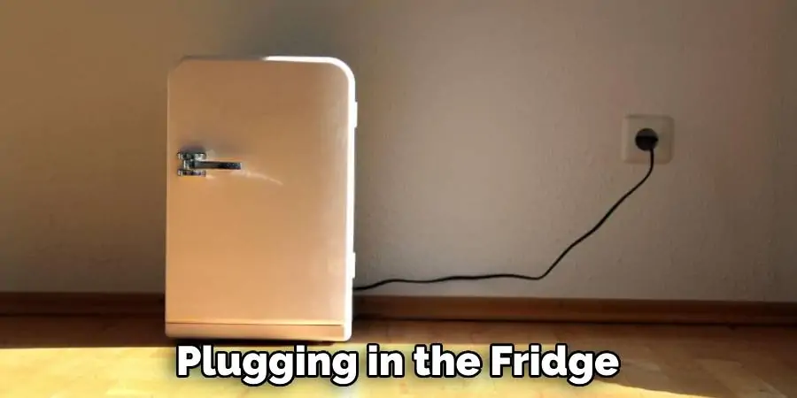 Plugging in the Fridge