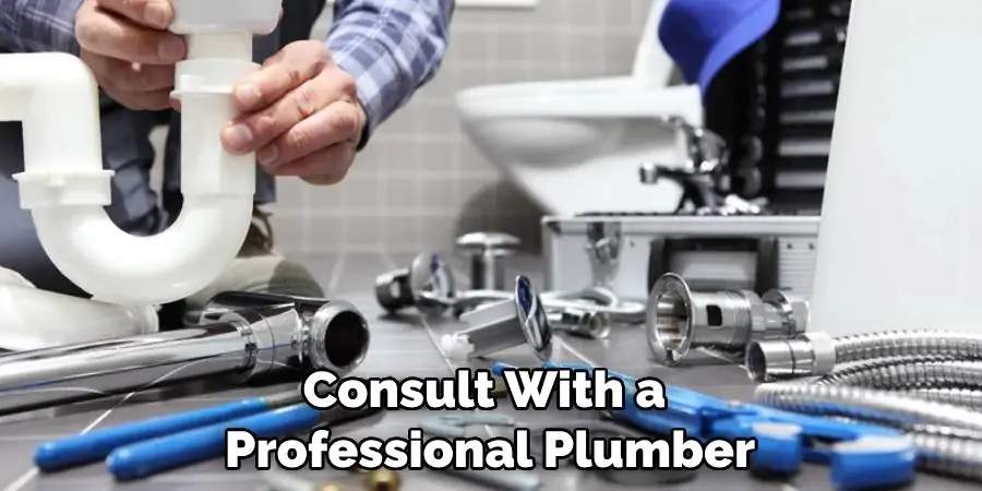 Consult With a Professional Plumber