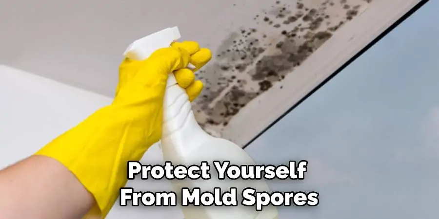 Protect Yourself From Mold Spores