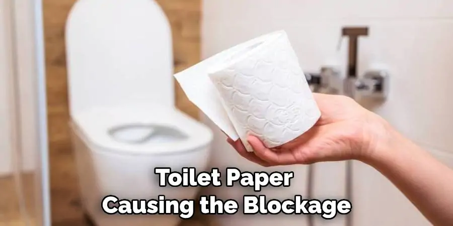 Toilet Paper Causing the Blockage