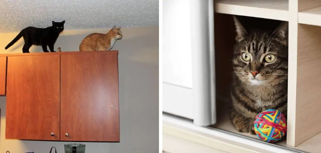 How to Keep Cats Out of Cabinets