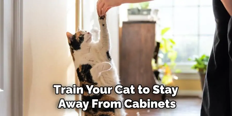 Train Your Cat to Stay Away From Cabinets