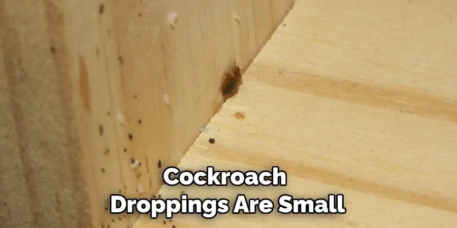 Cockroach Droppings Are Small