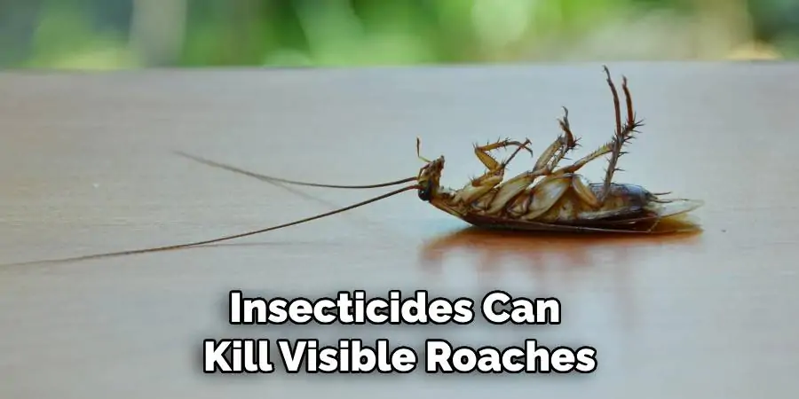 Insecticides Can Kill Visible Roaches