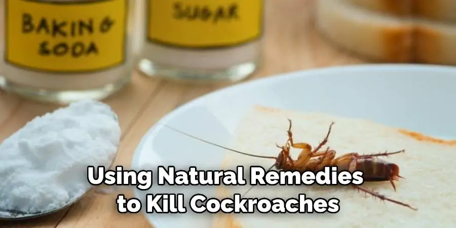 Using Natural Remedies to Kill Cockroaches